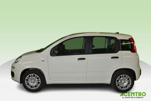 FIAT PANDA - PANDA 1.0 70CV HYBRID ICON