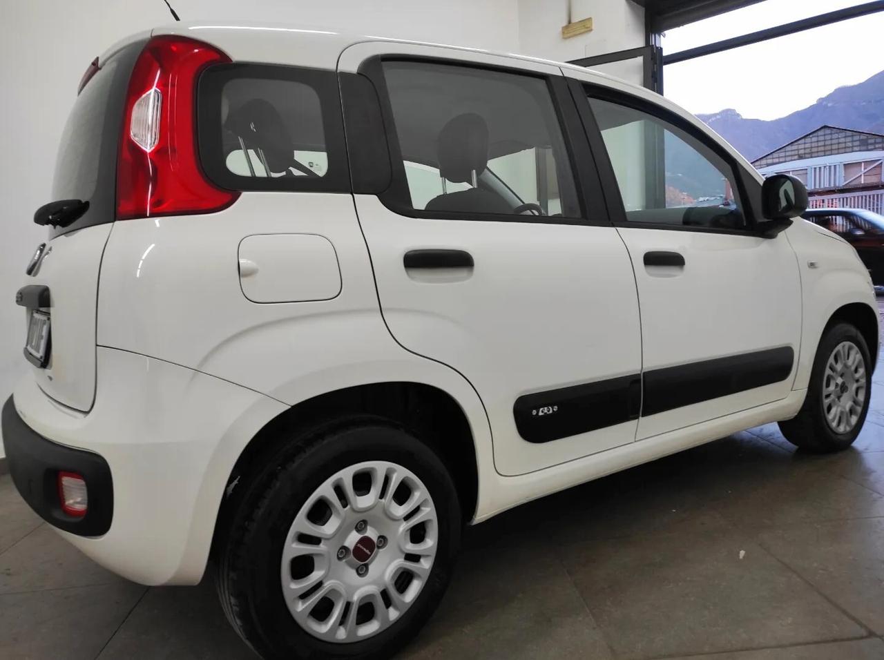 Fiat Panda 1.2 69cv 2017 garanzia