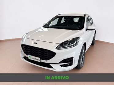 Ford Kuga 2.0 EcoBlue 150 CV aut. AWD ST-Line