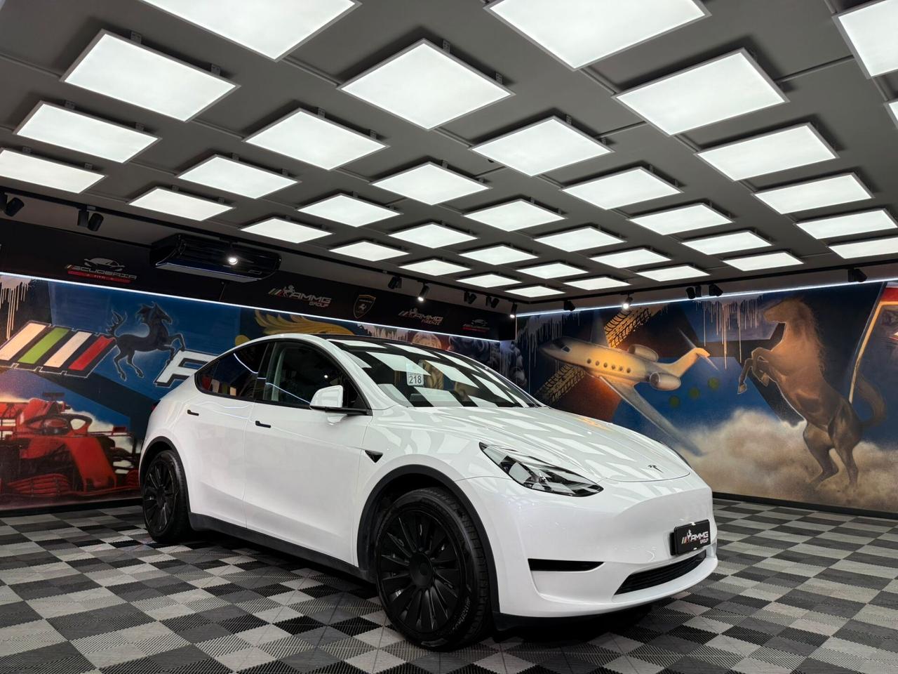 Tesla Model Y RWD (485)