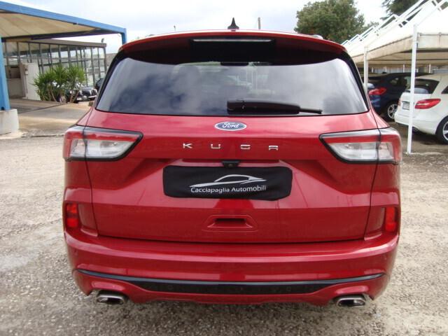 Ford Kuga 1.5 EcoBlue 120 CV 2WD ST-Line 2021