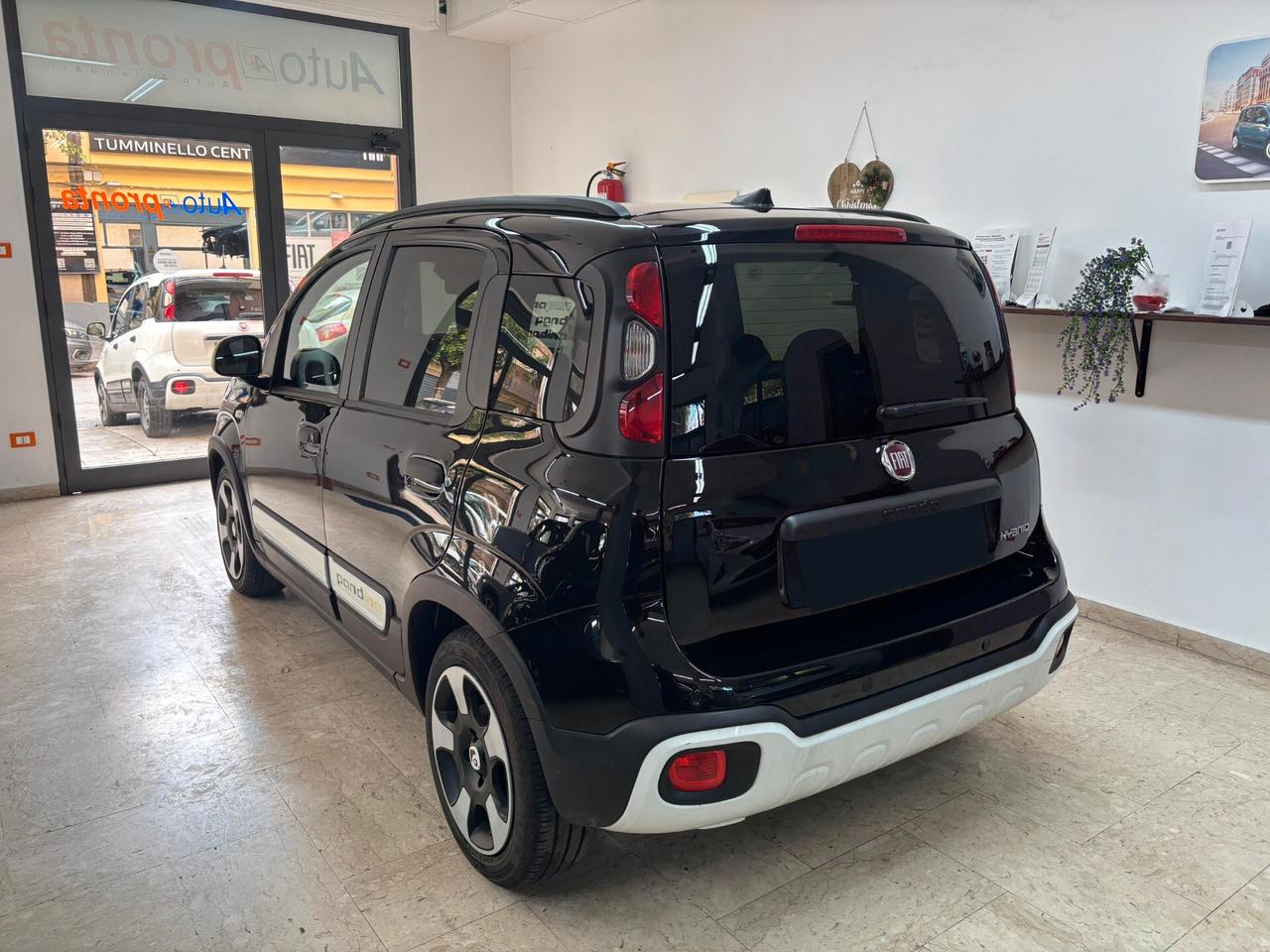 Fiat Panda Pandina Cross 1.0 Hybrid Vari Colori