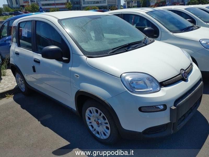 FIAT Panda 1PH My24 1.0 70cv Hybrid Panda