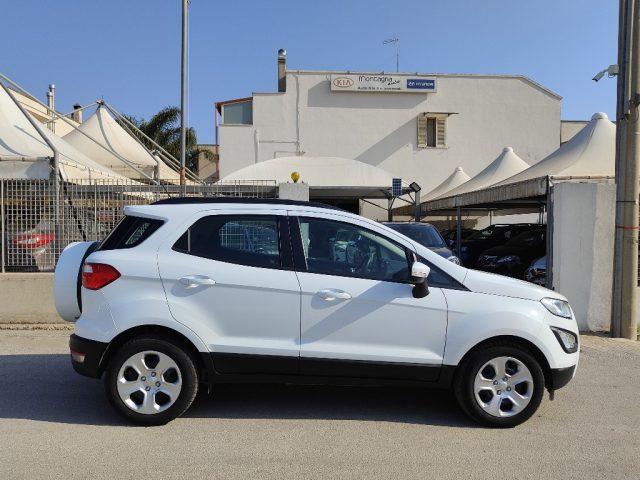 FORD EcoSport 1.5 Ecoblue 100 CV Business