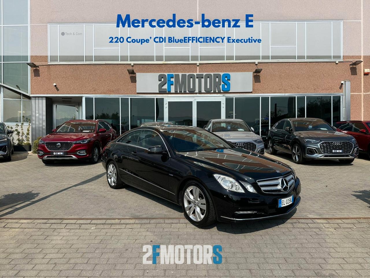 Mercedes-benz E 220 CDI BlueEFFICIENCY Executive