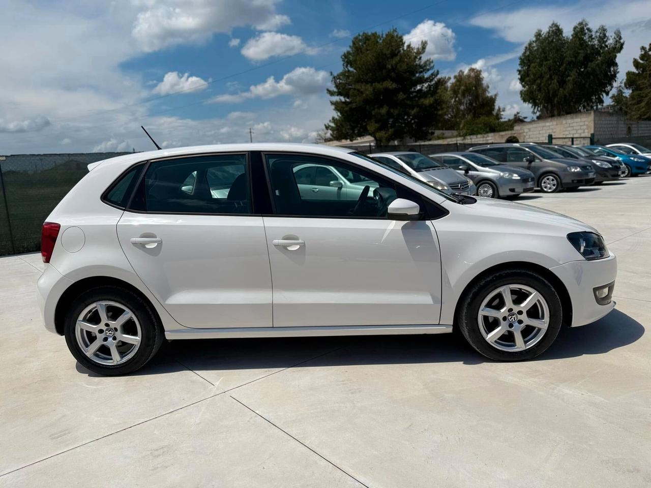 Volkswagen Polo Volkswagen Polo 1.6 TDI 90cv Bluemotion 2011
