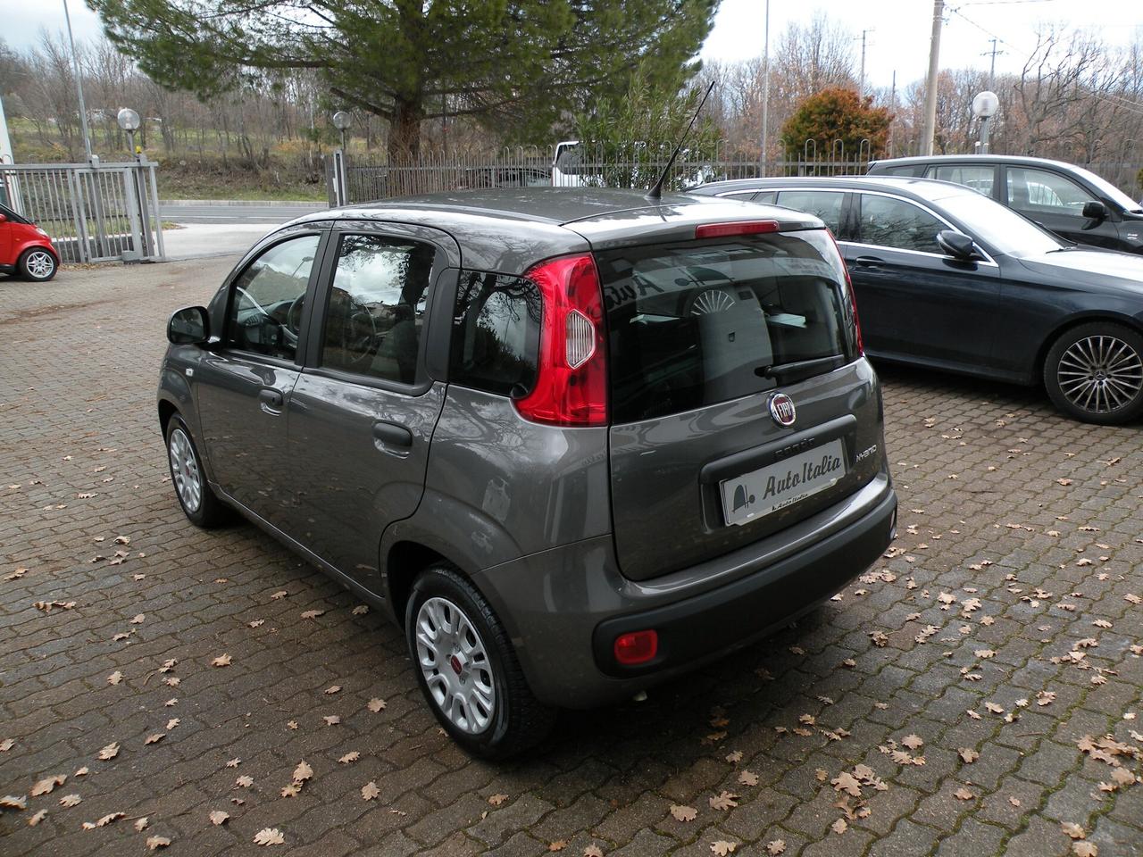 FIAT PANDA 1.0 FireFly 70CV S&S HYBRID 2022