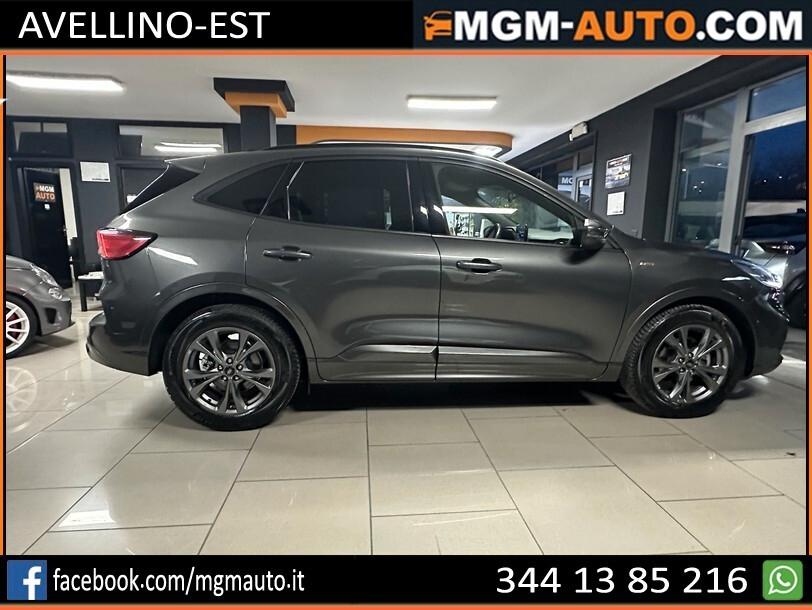 Ford Kuga 1.5 EcoBlue 120 CV aut. 2WD ST-Line X