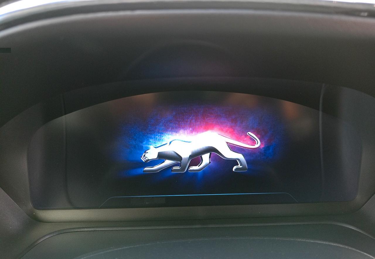 FORD PUMA Hybrid ST-Line ADATTA NEO PATENTATI