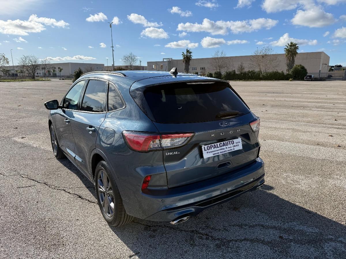 FORD KUGA 1.5 Ecoblue 120 c.v. 2wd ST- Line automatica