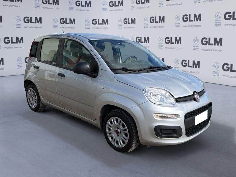 FIAT Panda 1.2 69cv Young