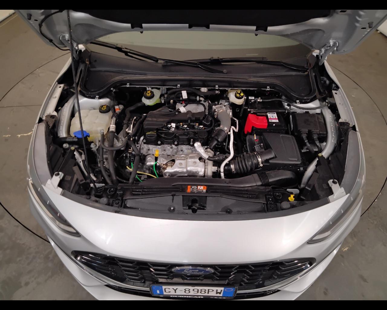 FORD Focus V 2022 - Focus 1.5 ecoblue ST-Line 115cv auto