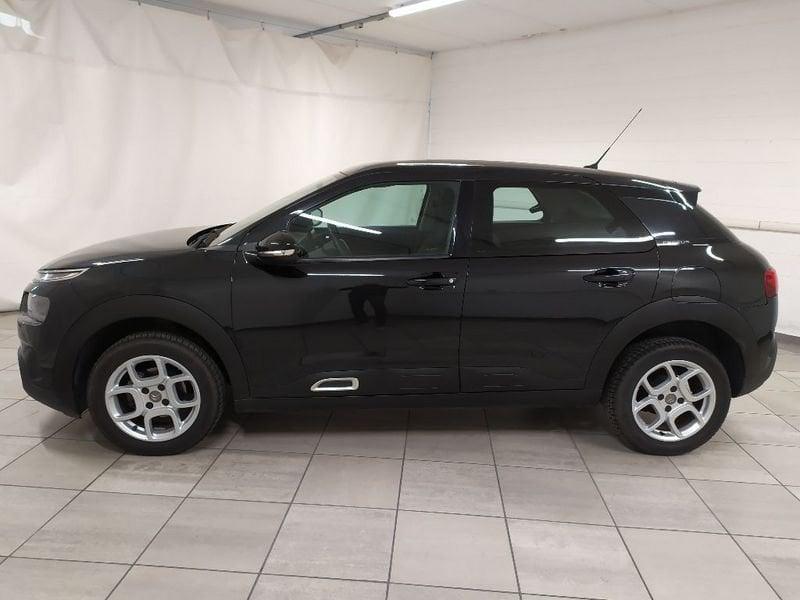 Citroën C4 Cactus 1.6 bluehdi Shine s&s 100cv