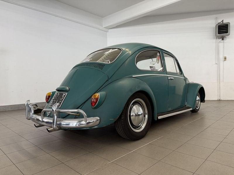 Volkswagen Maggiolino