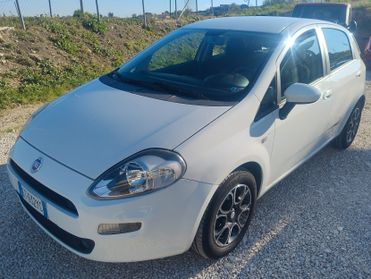 Fiat Punto IV 1.3 Mjet Street 75Cv - 2014