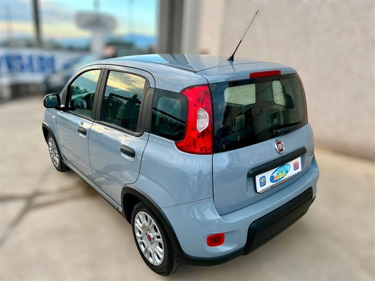 Fiat Panda 1.2 EasyPower Easy X NEOPATENTATI