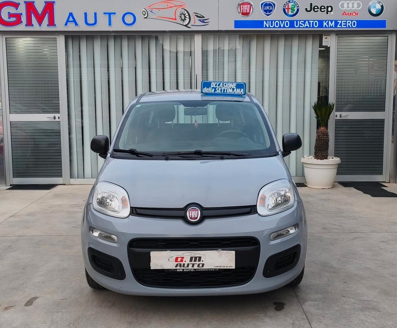Fiat Panda 1.0 benzina Hybrid 7/2021
