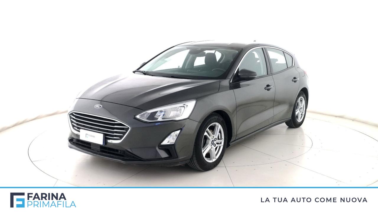 FORD Focus V - Focus 1.0 ecoboost Plus 100cv
