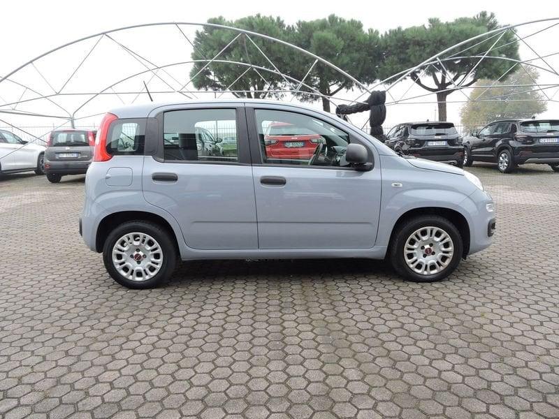 FIAT Panda Panda 1.2 Easy