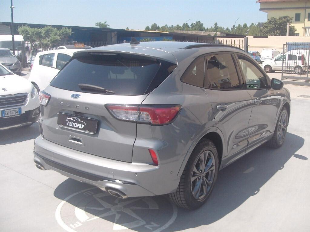 Ford Kuga 1.5 EcoBlue 120 CV aut. ST-Line - 2022