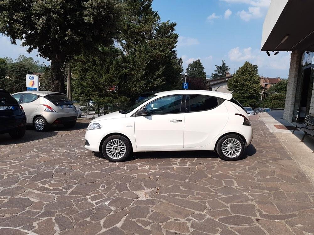 Lancia Ypsilon 1.2 GPL 69 CV 5 porte Elle NEO PATENTATI