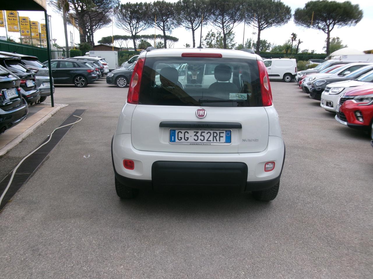 Fiat Panda 1.0 FIREFLY HYBRID S CITY-CROSS TAGLIANDATA