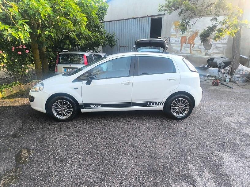 Fiat Punto Evo 1.3 Mjt 95 CV DPF 5 porte S&S Dynamic