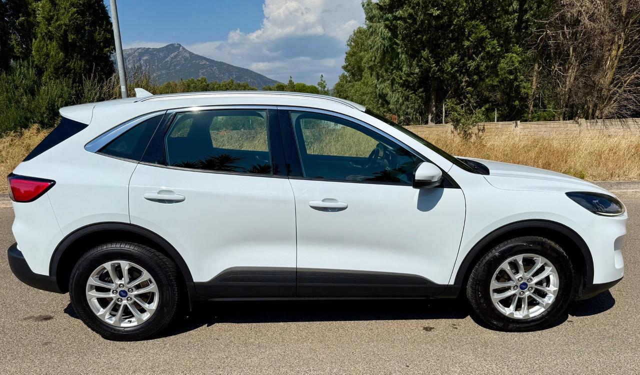 Ford Kuga 1.5 EcoBlue 120 CV aut. 2WD Titanium Business