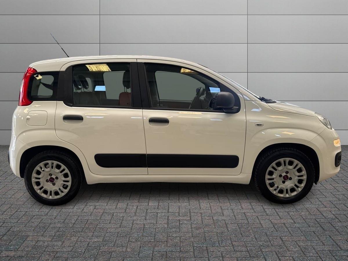FIAT Panda 3ª serie - Panda 1.2 Pop