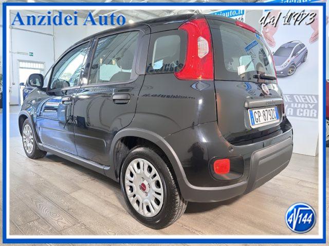 FIAT Panda 1.0 FireFly Hybrid 5 Posti