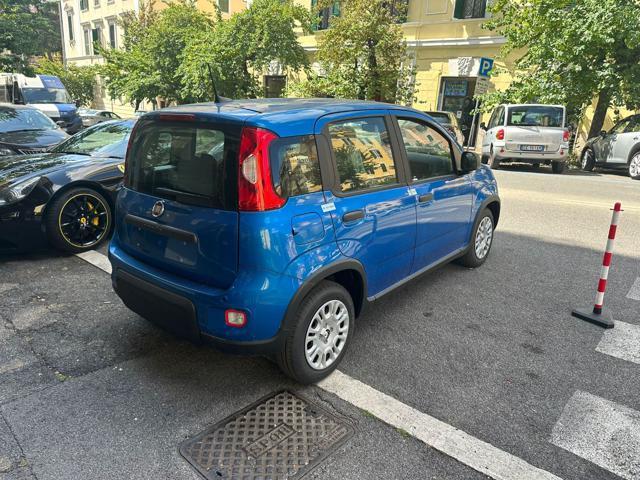 FIAT Panda 1.0 FireFly Hybrid -Pronta Consegna Nuovo Mod2025
