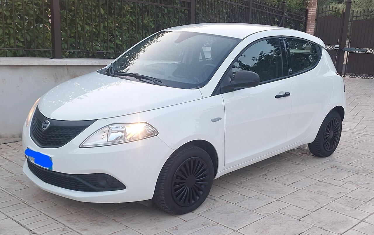 Lancia Ypsilon 1.0 FireFly 5 porte S&S Hybrid Ecochic Silver