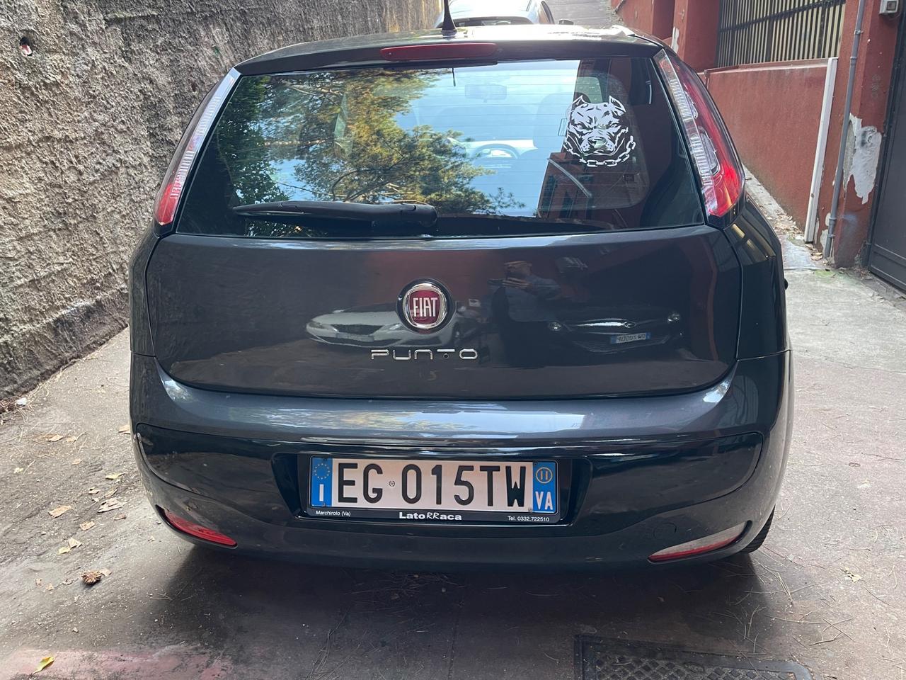 Fiat Punto Evo 1.2 5 porte S&S Active