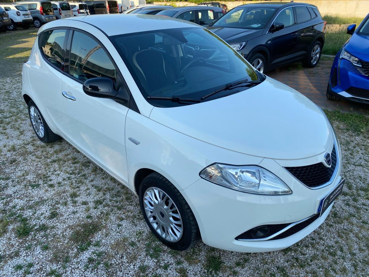 LANCIA - Ypsilon - 1.3 MJT 95 CV 5p. S&S Gold - UNIPRO. - NEOPATENTATI - FINANZIABILE