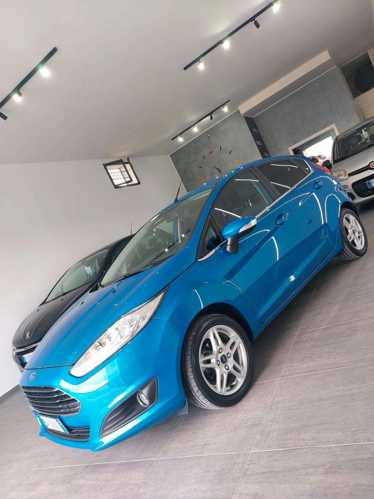 Ford Fiesta 1.5 TDCi 75CV 5 porte Titanium 2014