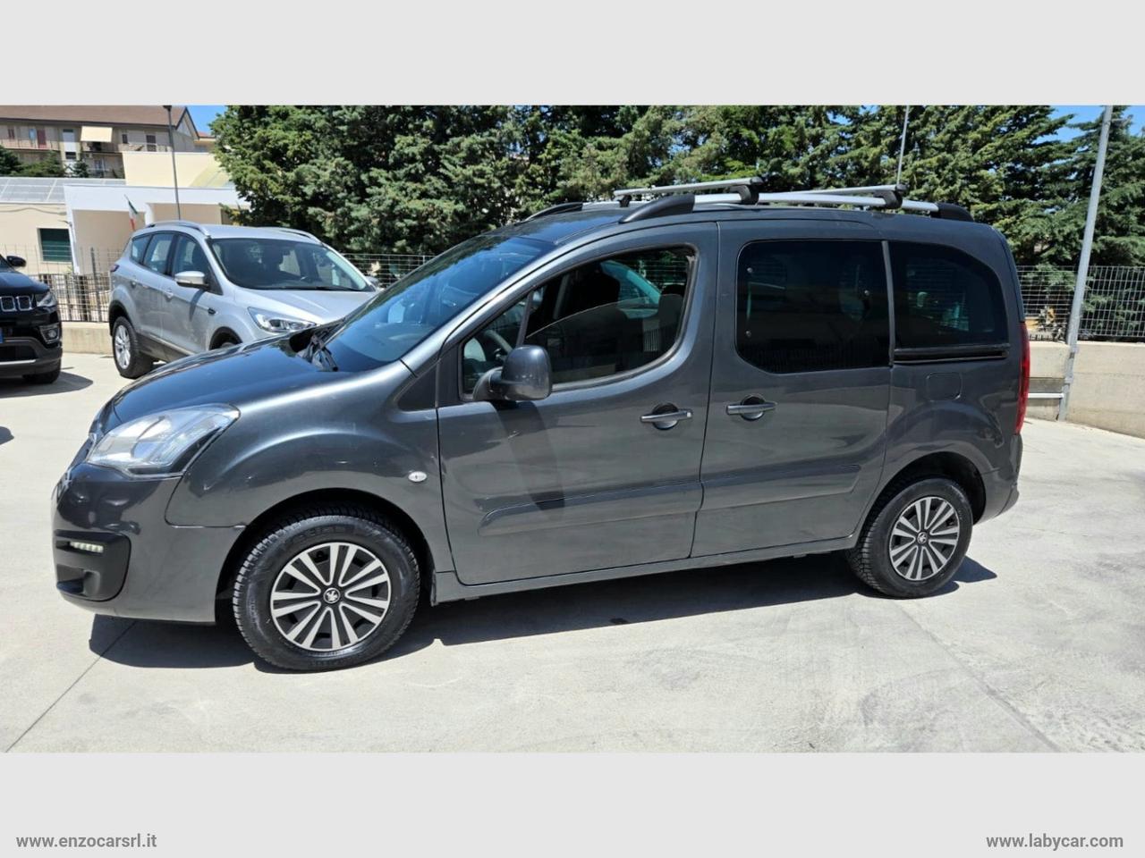 Partner Tepee Mix BlueHDi 100 Active