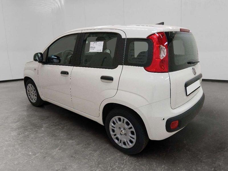 FIAT Pandina 1.0 firefly hybrid Icon s&s 70cv 5p.ti