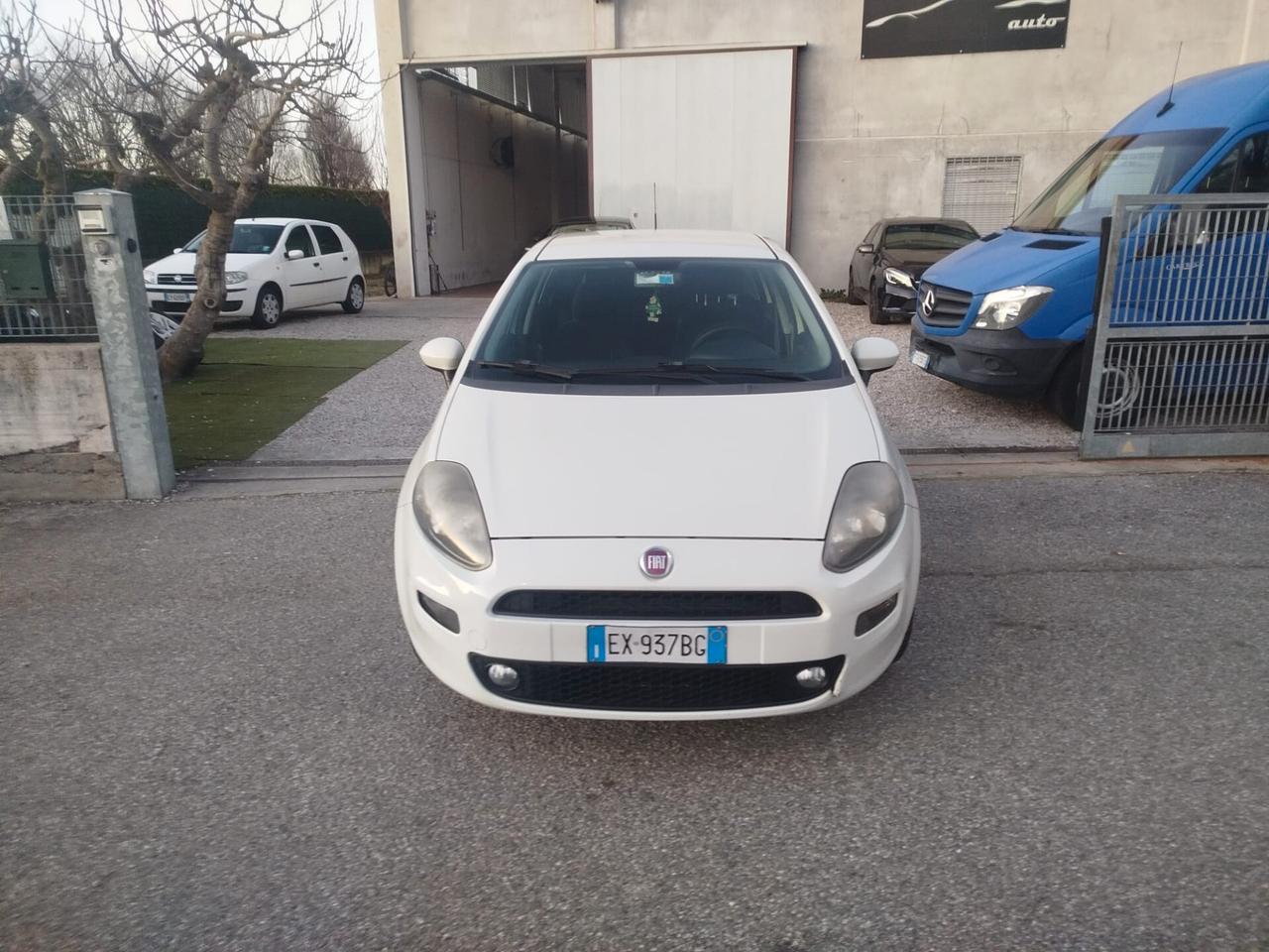 Fiat Punto Evo 1.4 5 porte Active GPL