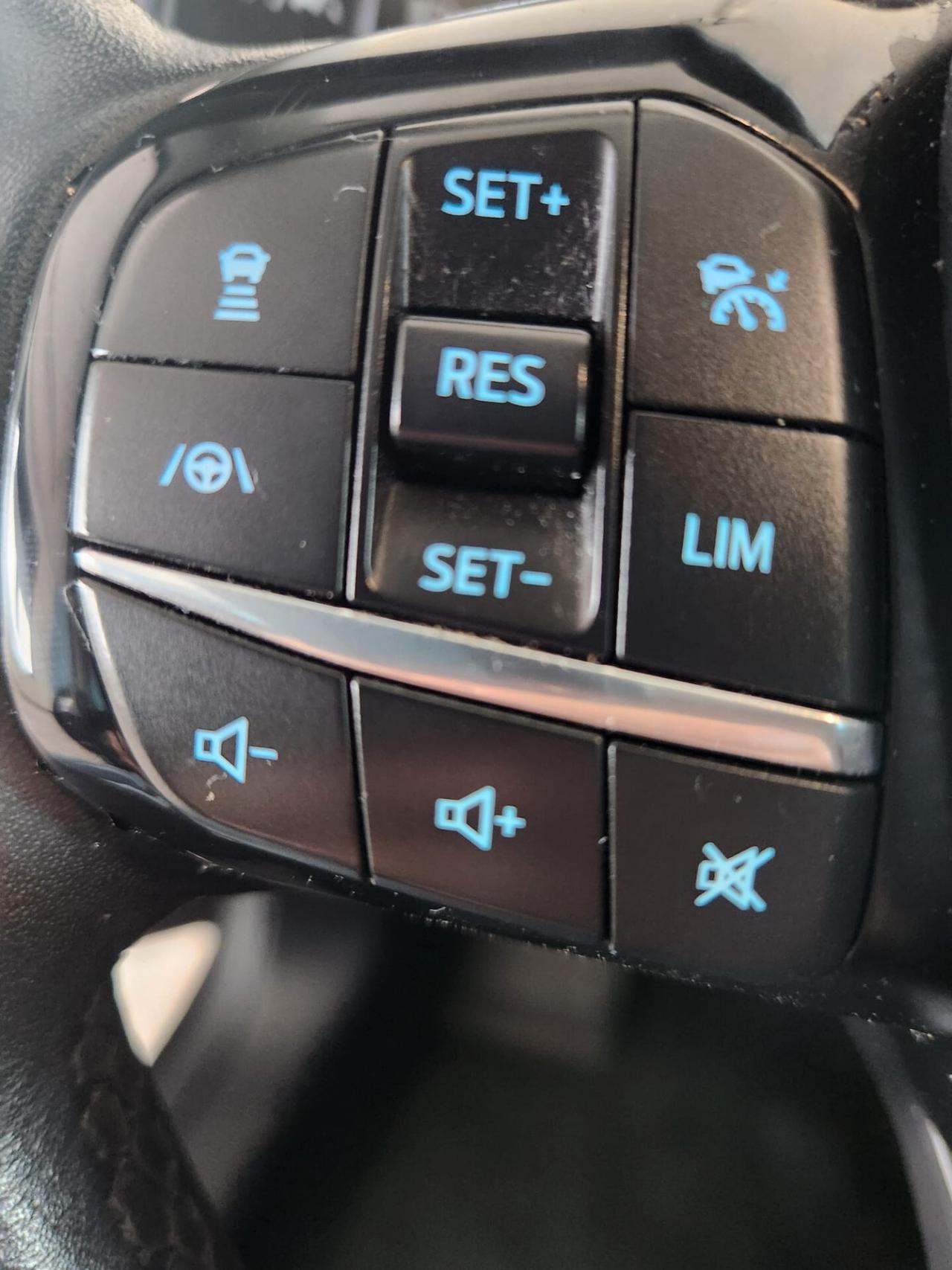 Ford Focus 1.5 EcoBlue 120 CV automatico SW Business Co-Pilot