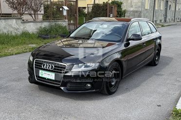 AUDI A4 Avant 2.0 TDI 120CV F.AP. Start Adv.