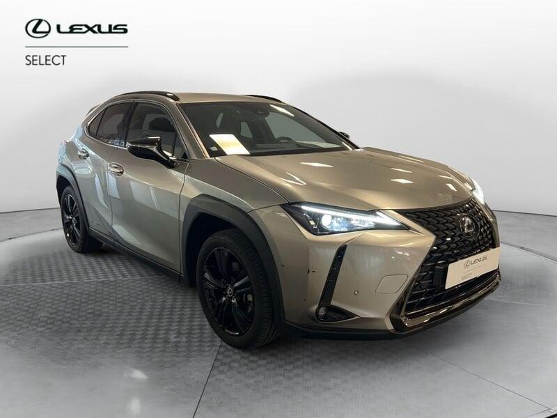 Lexus UX Hybrid 4WD Midnight