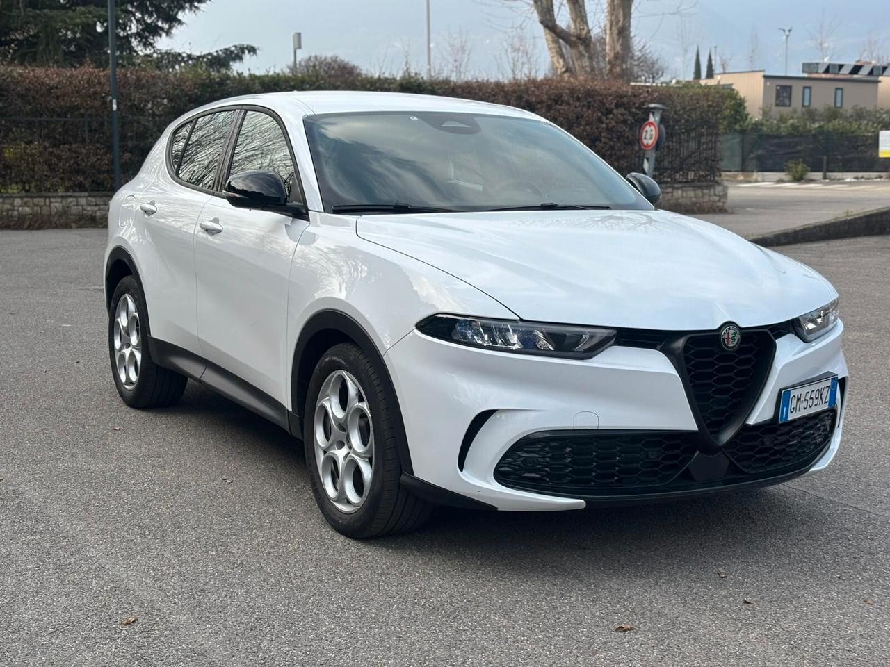 Alfa Romeo Tonale 1.6 diesel 130 CV TCT6 Sprint