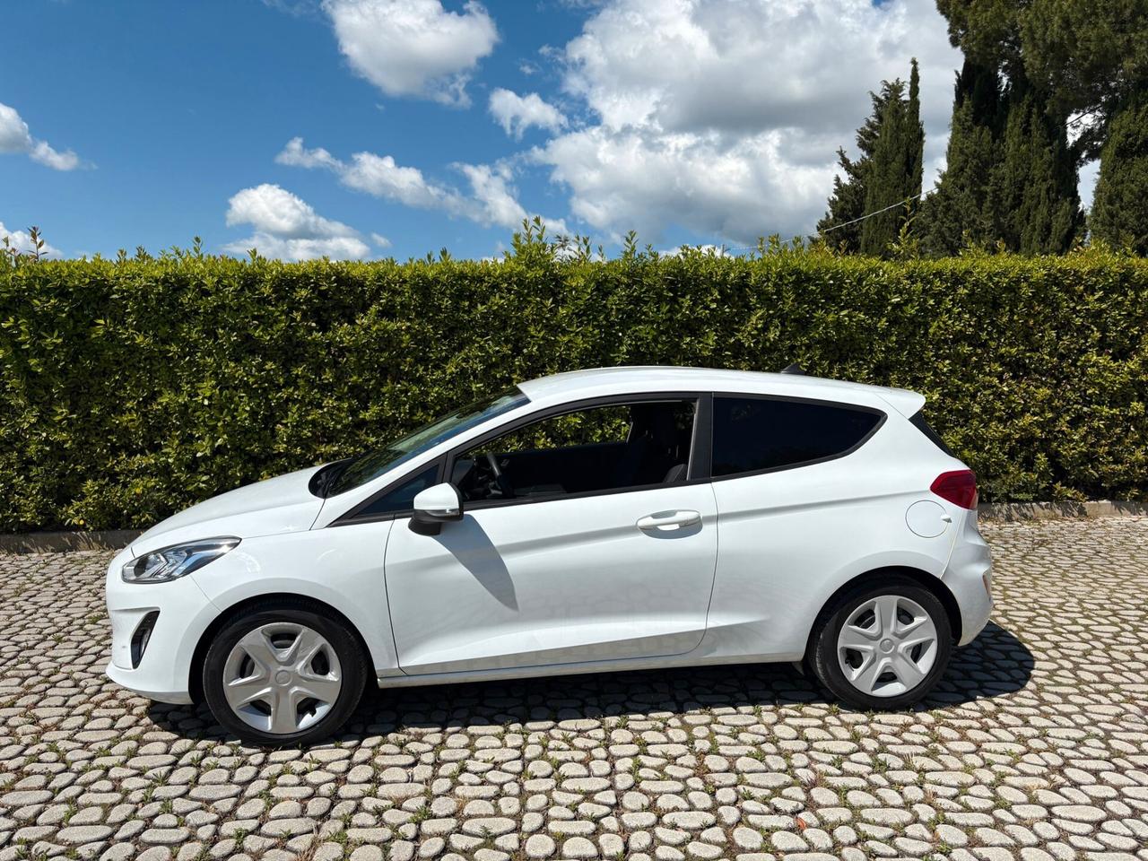FORD Fiesta 1.5TDCi S&S Trend N1 Van 86 6M 2020