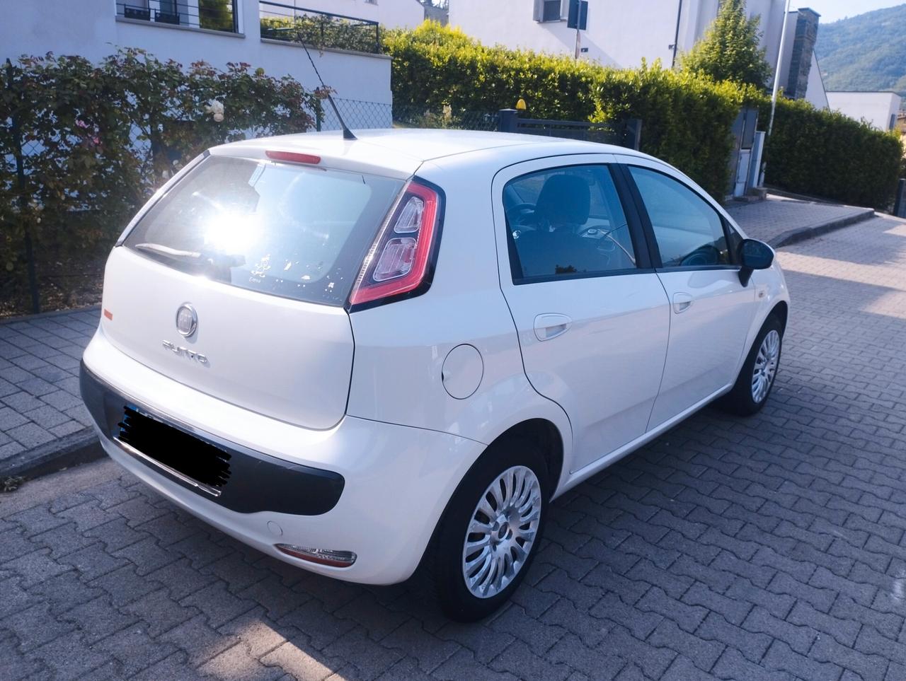 Fiat Punto Evo Punto Evo 1.2 5 porte S&S Dynamic