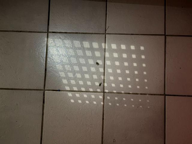 VOLKSWAGEN Taigo 1.0 TSI 116 CV DSG R-Line TETTO APR/PAN