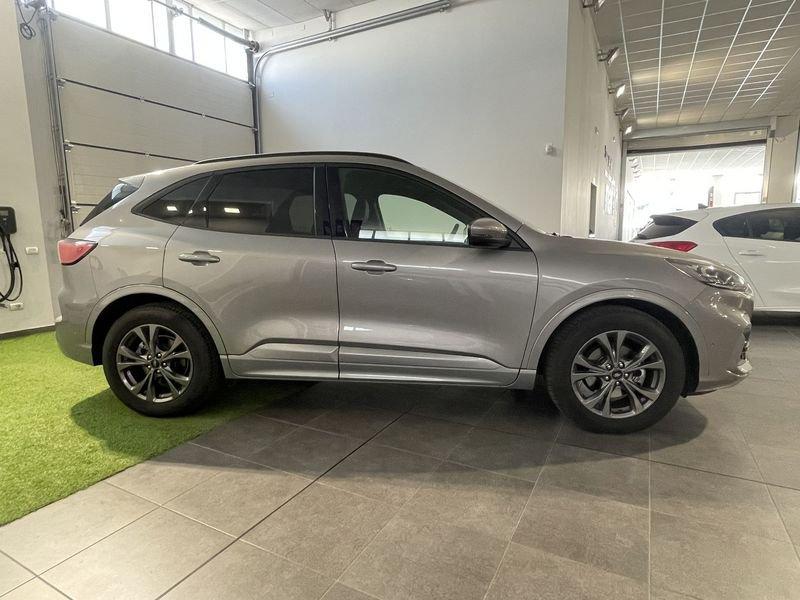 Ford Kuga Kuga 1.5 EcoBlue 120 CV aut. 2WD Titanium Business