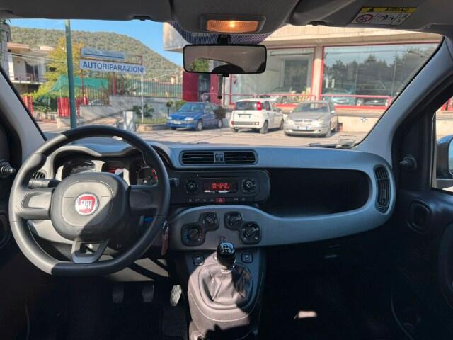 FIAT Panda 3ª serie Panda 1.2 Pandazzurri