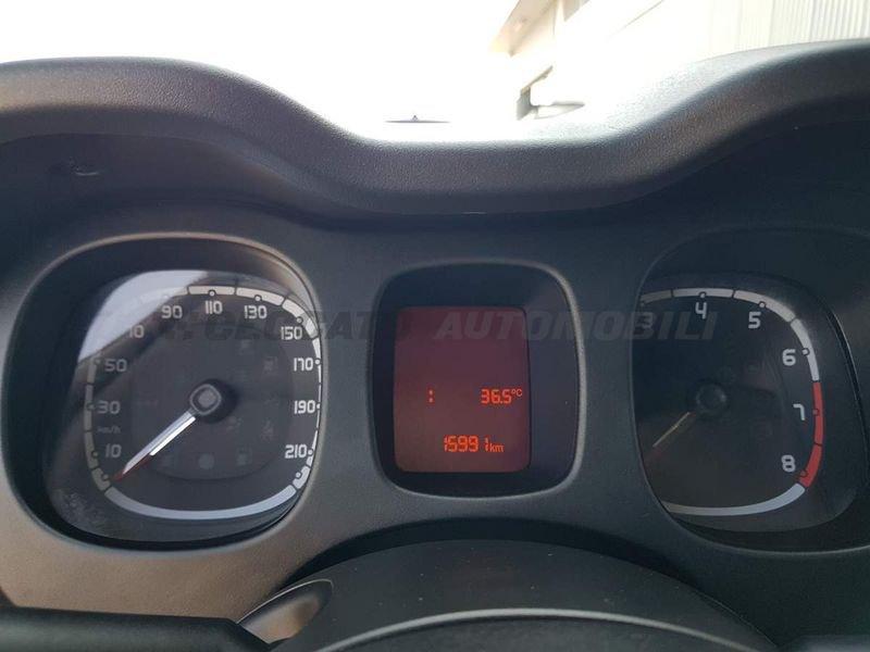 FIAT Panda Cross Panda 1.0 firefly hybrid Cross s&s 70cv 5p.ti