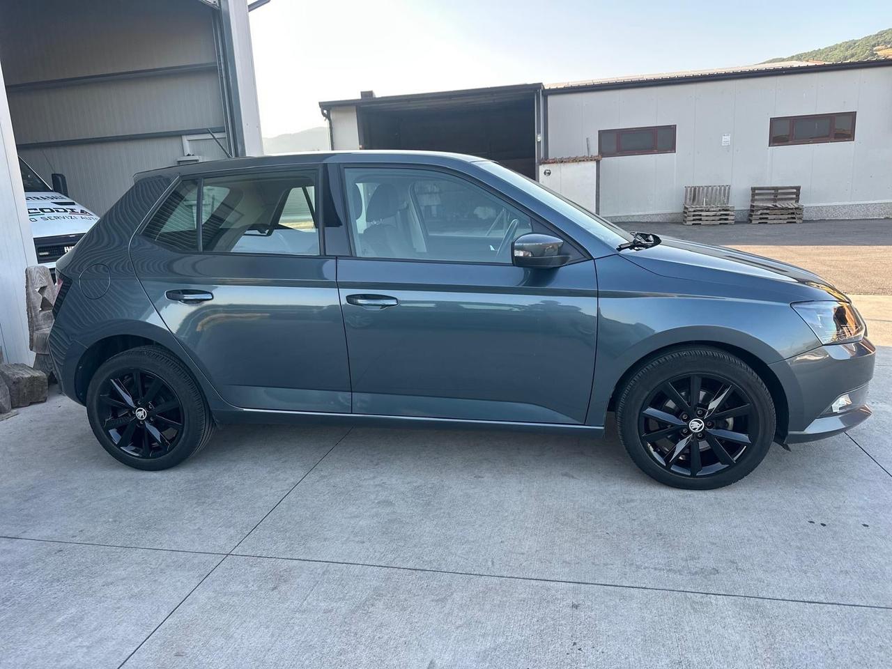Skoda Fabia 1.4 TDI 75 CV Executive