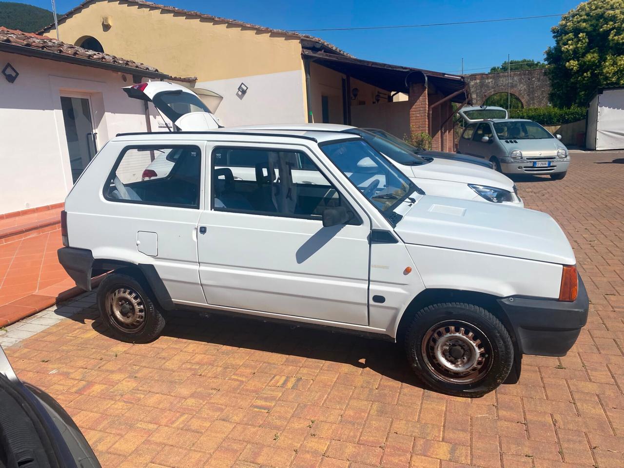 Fiat Panda 1100 i.e. cat Young